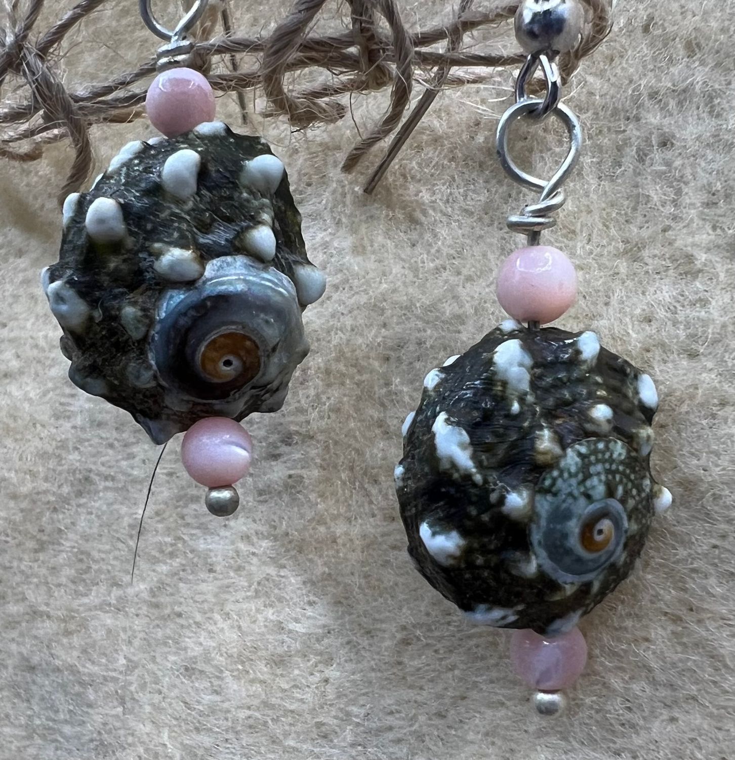 Seashell Earrings