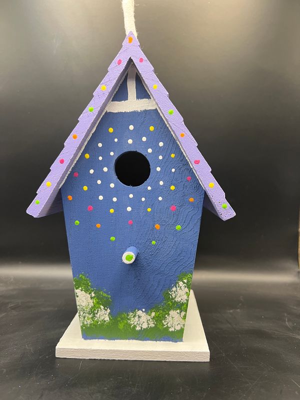 Hand painted Bird House