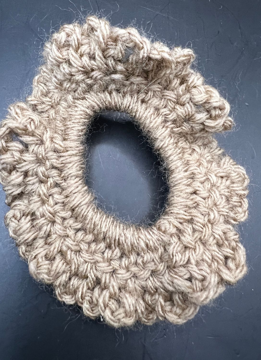 Crocheted Ponytail Holder