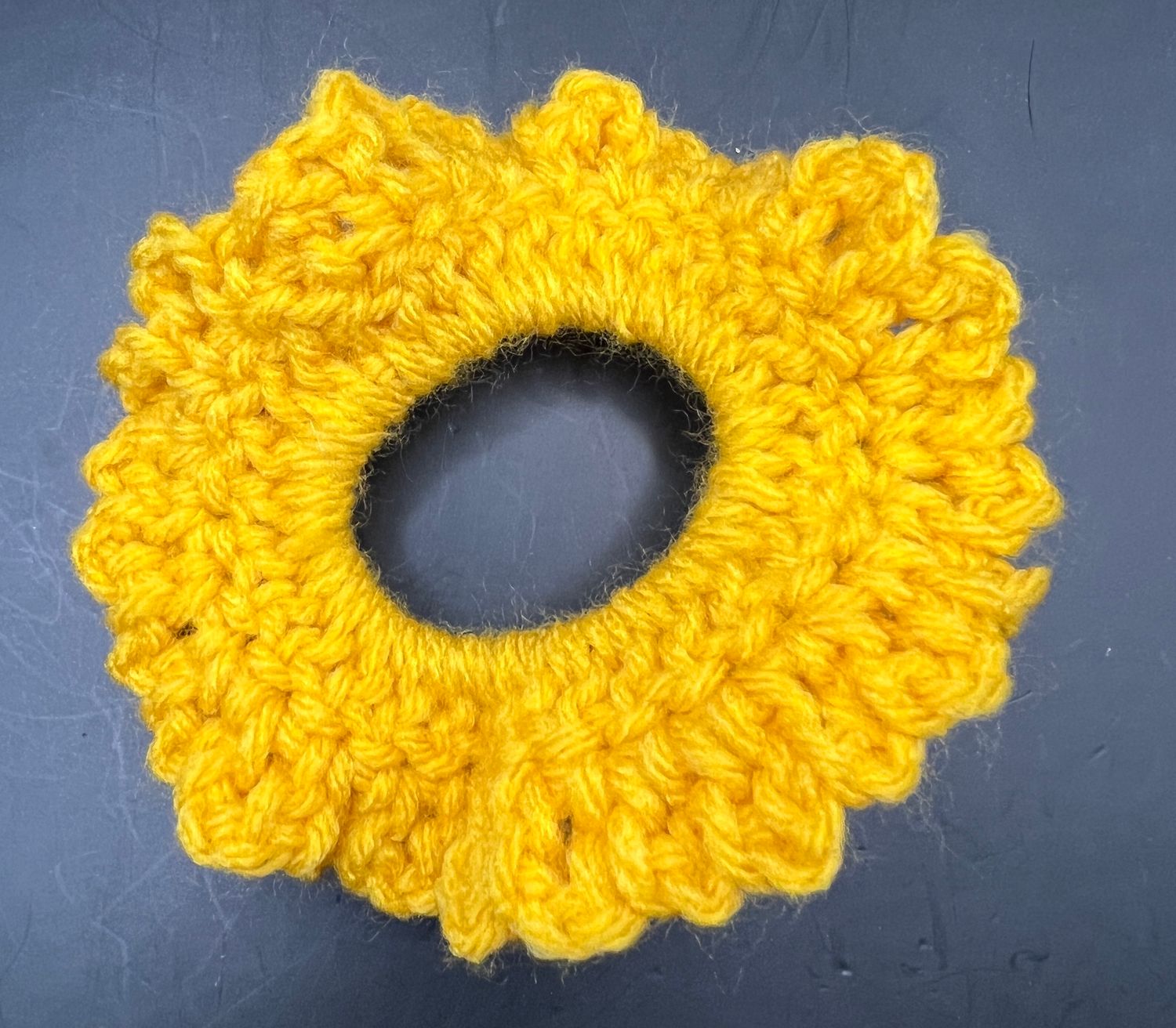 Crocheted Ponytail Holder