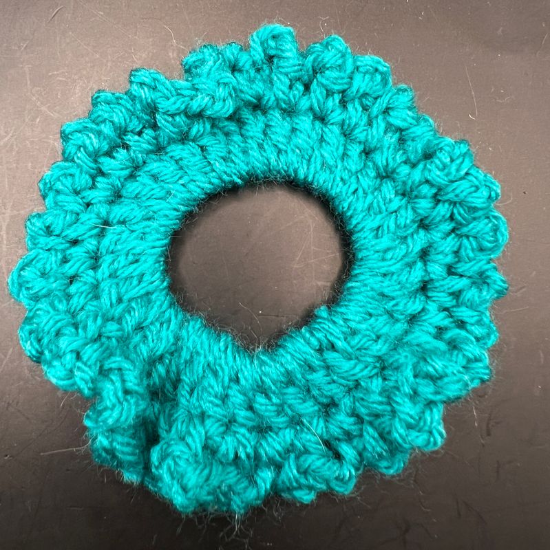 Crocheted Ponytail Holder