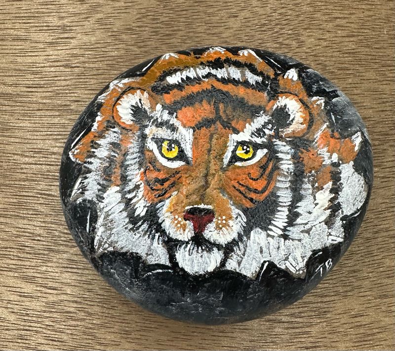 Tiger Painted Rock