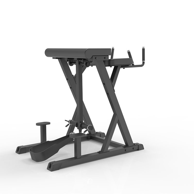 IFP1619 HIPEREXTENSIÓN INVERSA (CARGA CON DISCOS) IMPULSE FITNESS: