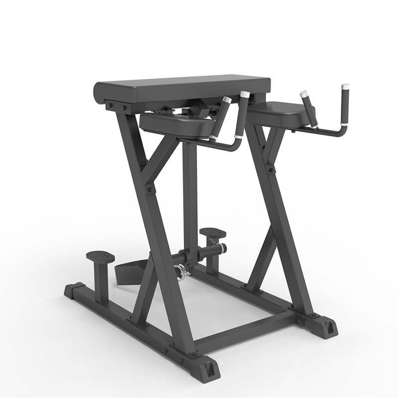 IFP1619 HIPEREXTENSIÓN INVERSA (CARGA CON DISCOS) IMPULSE FITNESS: