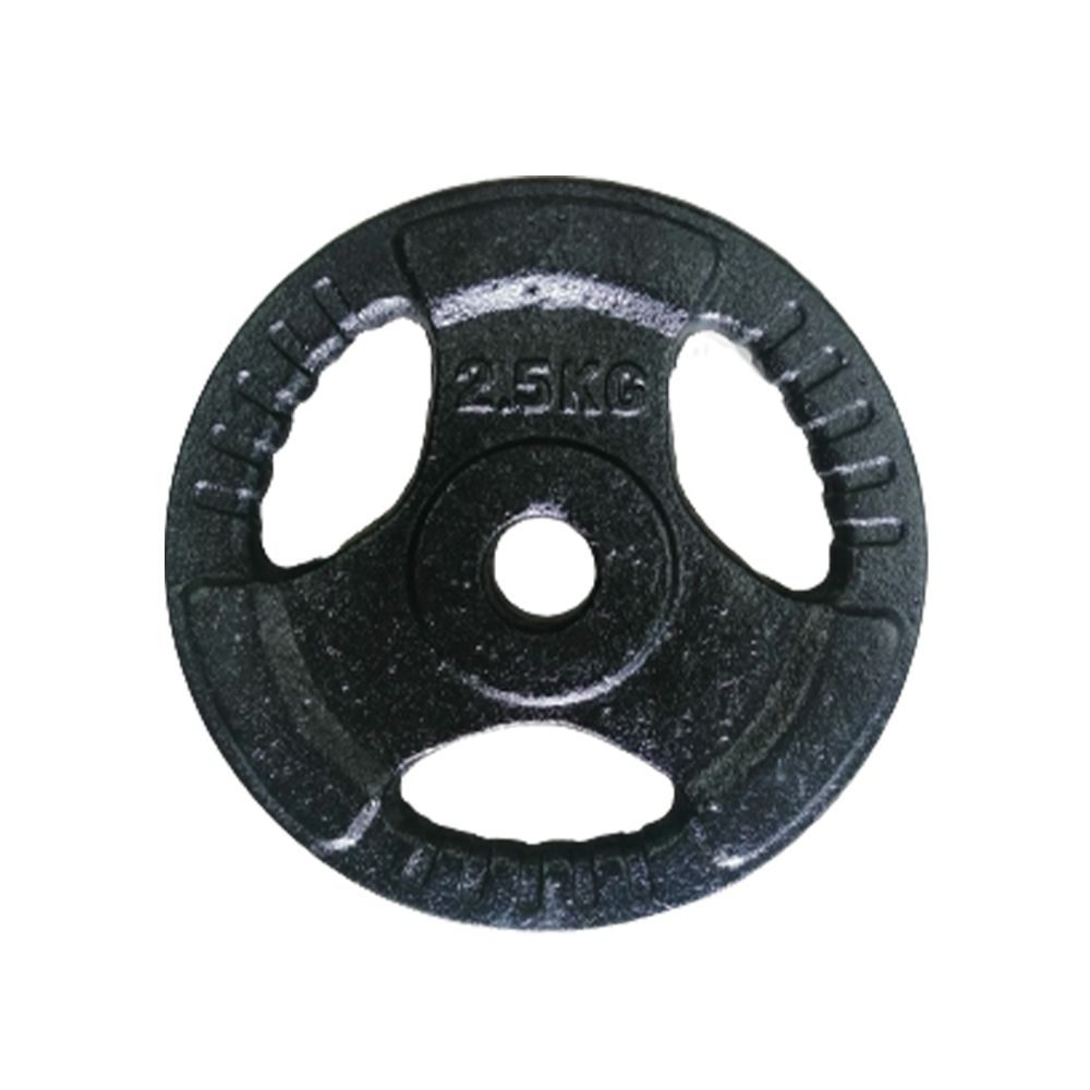 Disco de Hierro de 2 Kg a 15 Kg para Barra Estándar Negro
