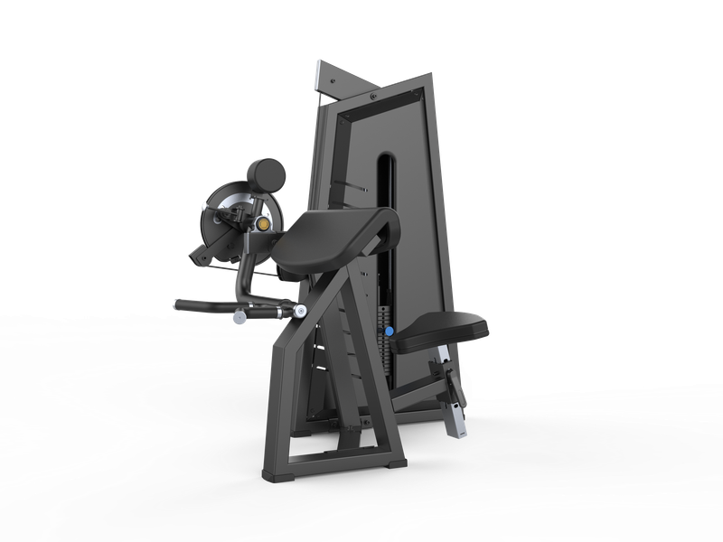 Flexión de biceps y triceps