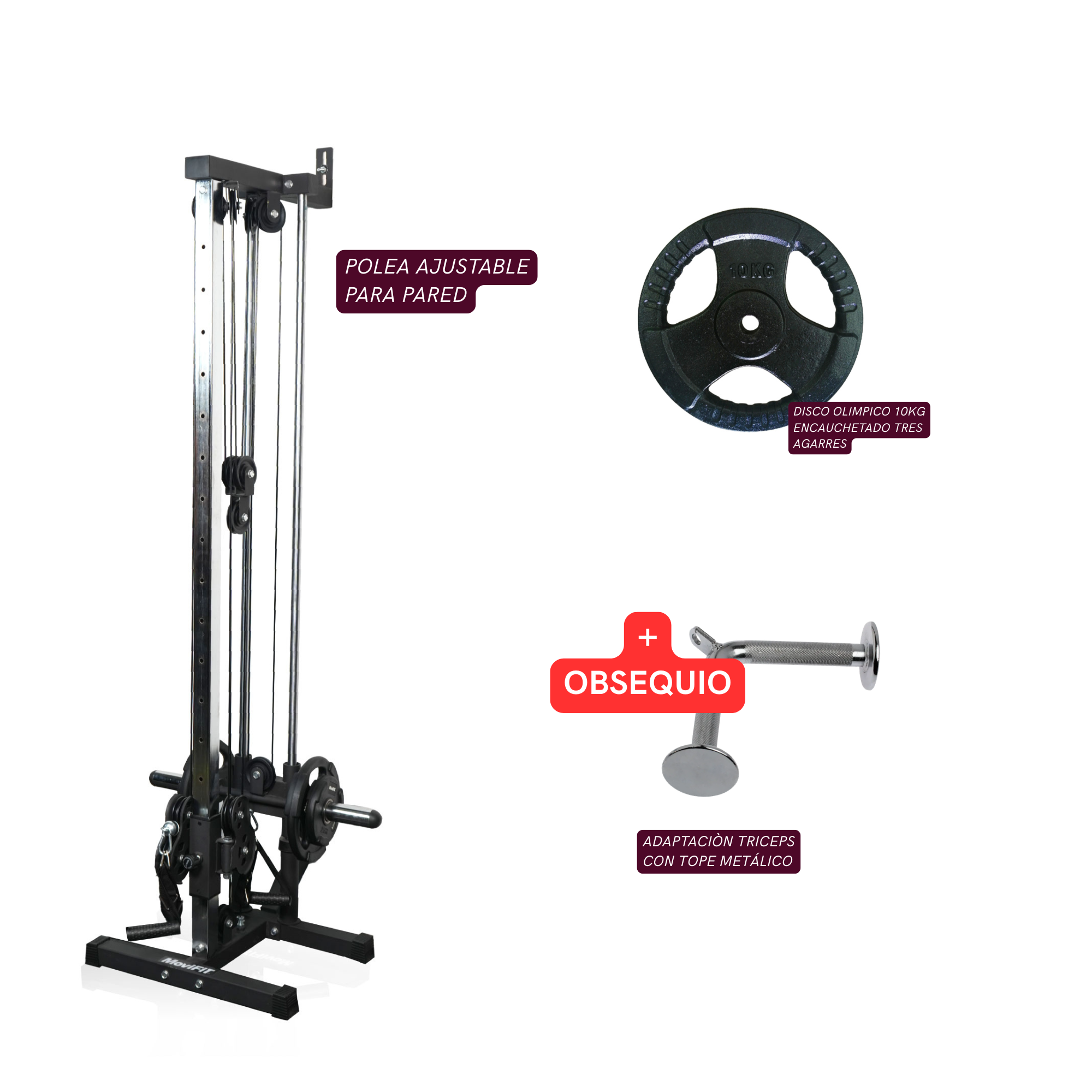 COMBO Polea Ajustable para Pared + Disco Olimpico 10 Kg en Hierro 3 Agarres GRATIS: Adaptación Triceps con Tope Metálico