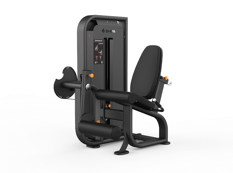 Máquina Extensión de Piernas SH-G6810 Torre de Pesas 100 kg Profesional