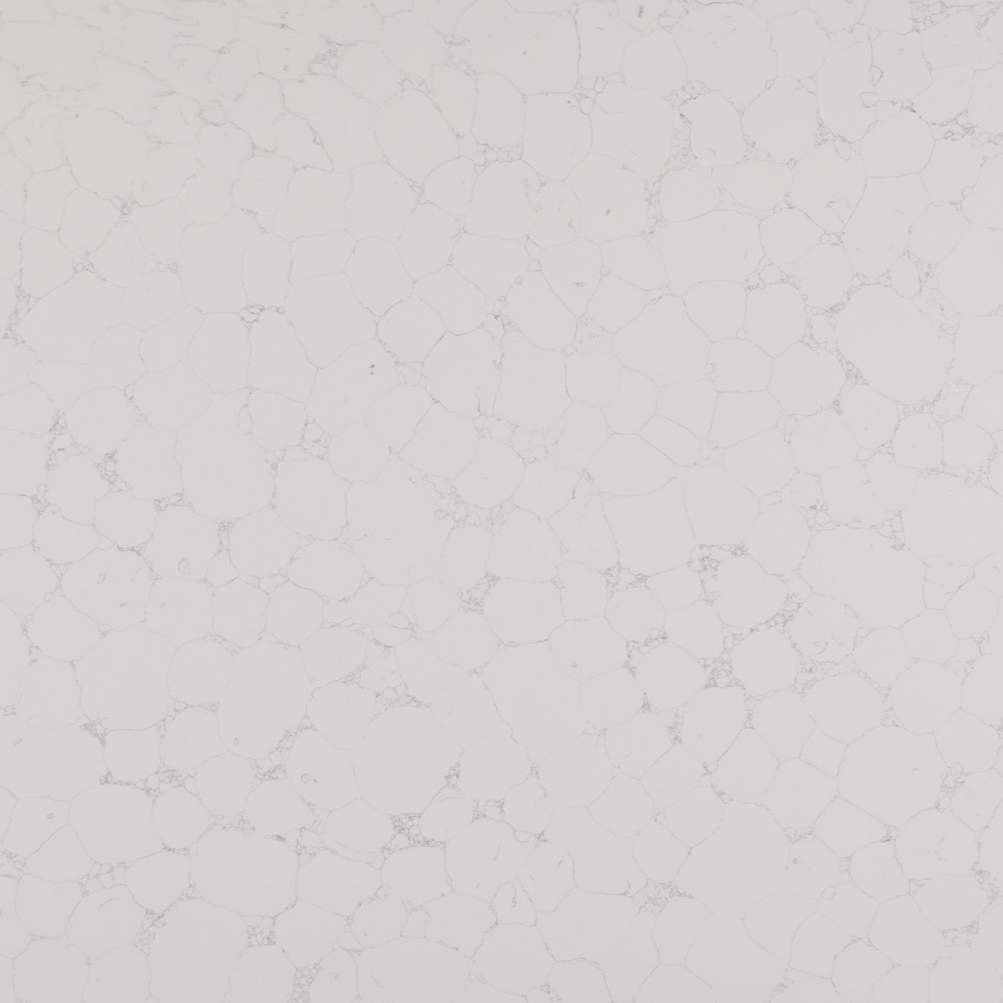 Quartz - White Venato