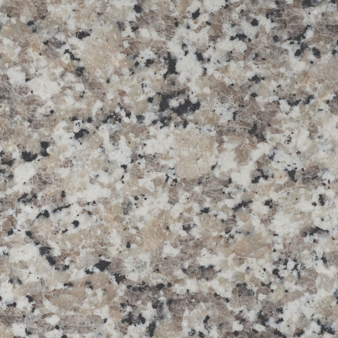 Granite - Bianco Sardo Polished