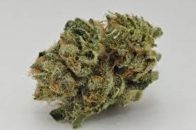 OG KUSH
