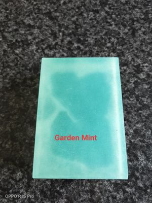 Garden Mint