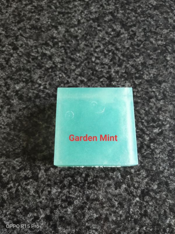 Garden Mint