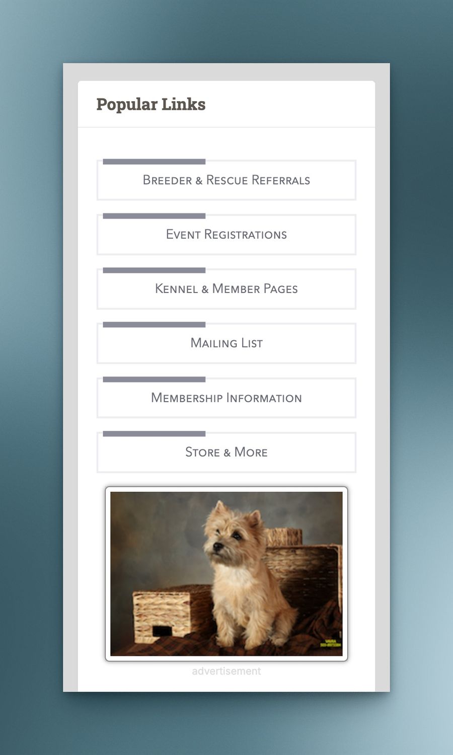 Featured Photo