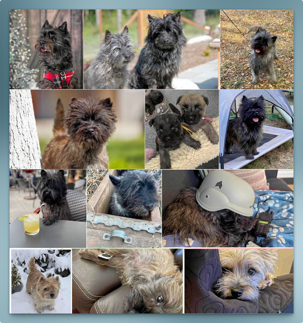 Cairn Calendar