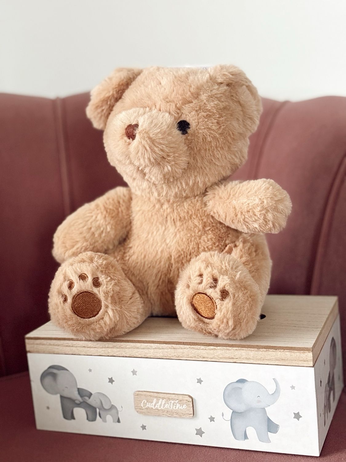 Personalizuota dovana balione - Mano pirmasis Teddy
