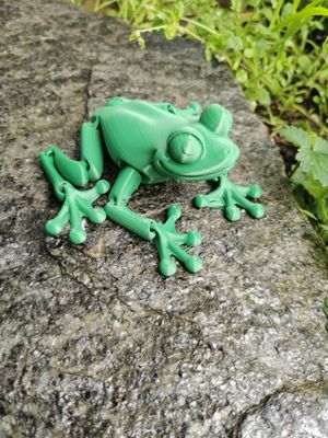 Articulated Frog