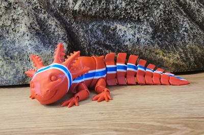Articulated Axolotl