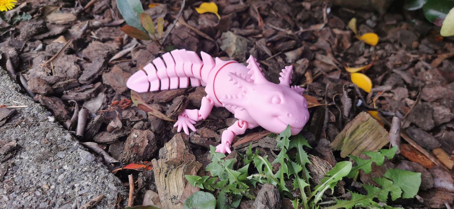 Articulated Axolotl