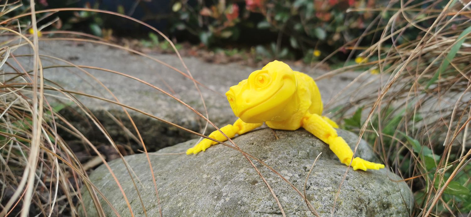Articulated Leopard Gecko