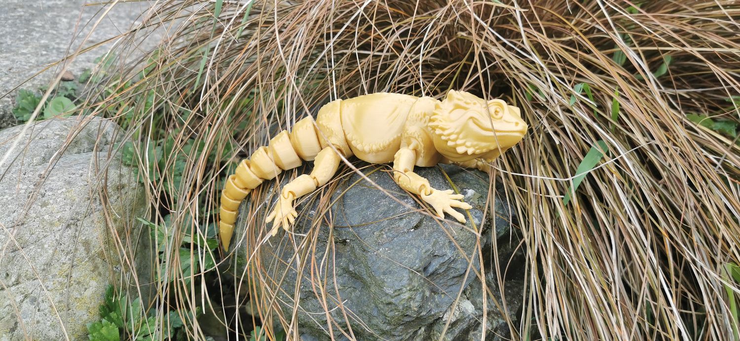 Articulated Bearded Dragon