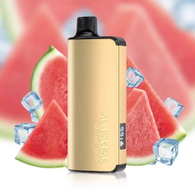 Alibarbar Ingot Watermelon Ice 9000 Puffs