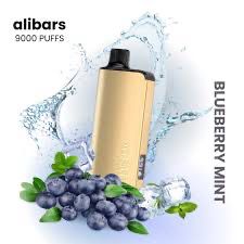 Alibarbar Ingot Blueberry Mint 9000 Puffs