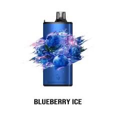 Gunnpod Evo 15000 Puffs Blueberry Ice