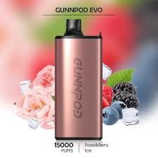 Gunnpod Evo 15000 Puffs Rose &amp; Berry Ice