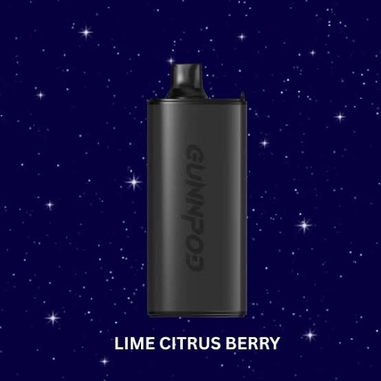 Gunnpod Evo 15000 Puffs Lime Citrus Berry