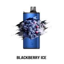 Gunnpod Evo 15000 Puffs Blackberry Ice