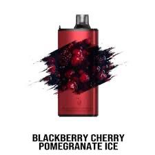 Gunnpod Evo 15000 Puffs BlackBerry Cherry Pomegranate Ice