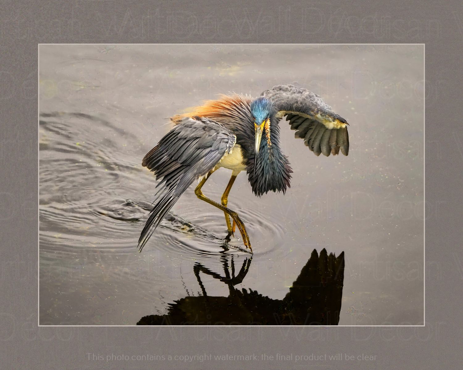 Dancing Through the Waters™ -Wildlife Collection