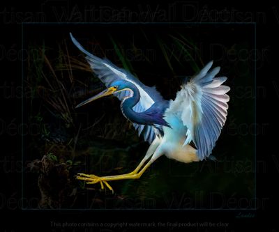 Day Glow™ -Wildlife Collection