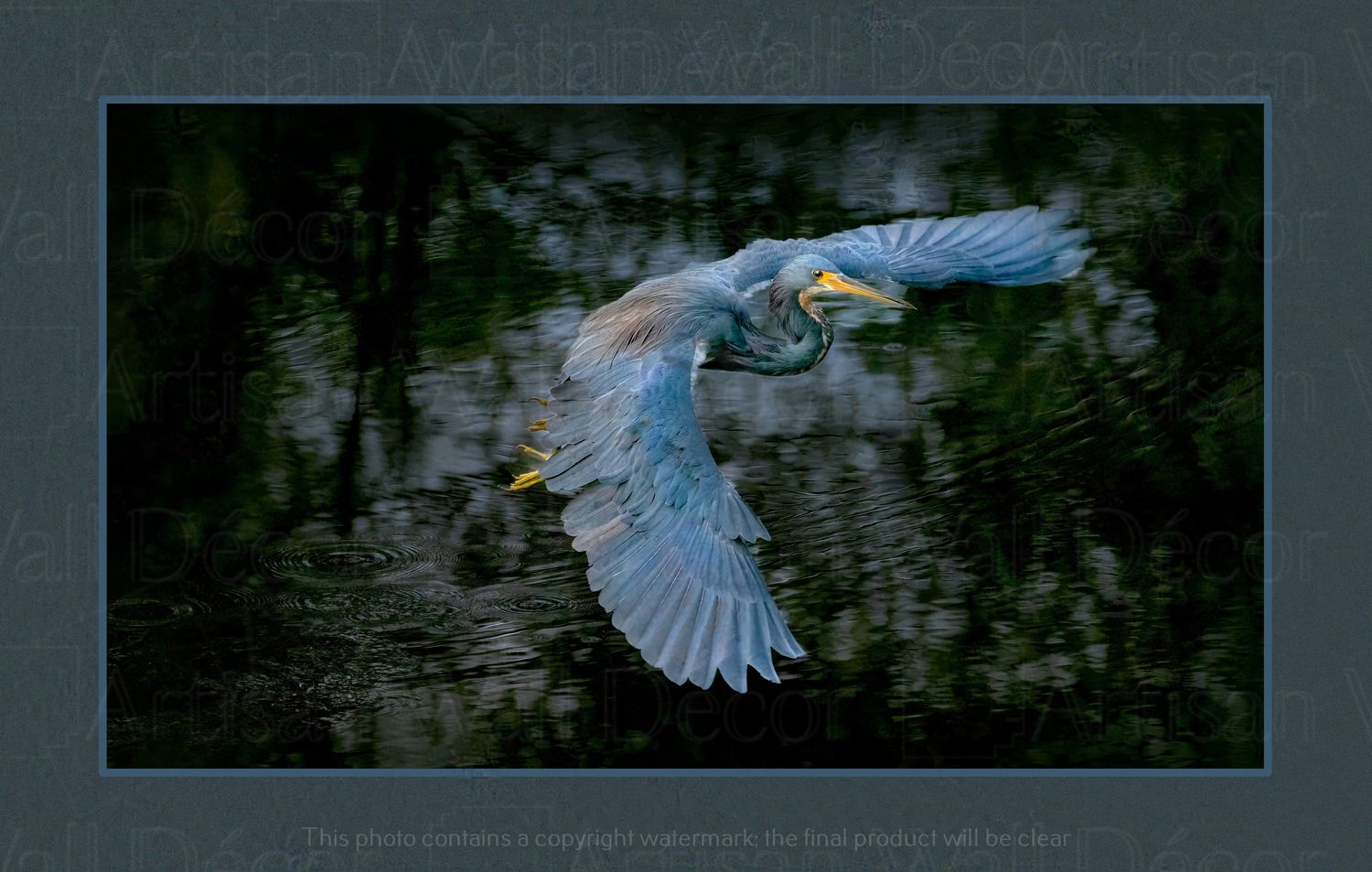 From Shadow to Light ™ -Wildlife Collection
