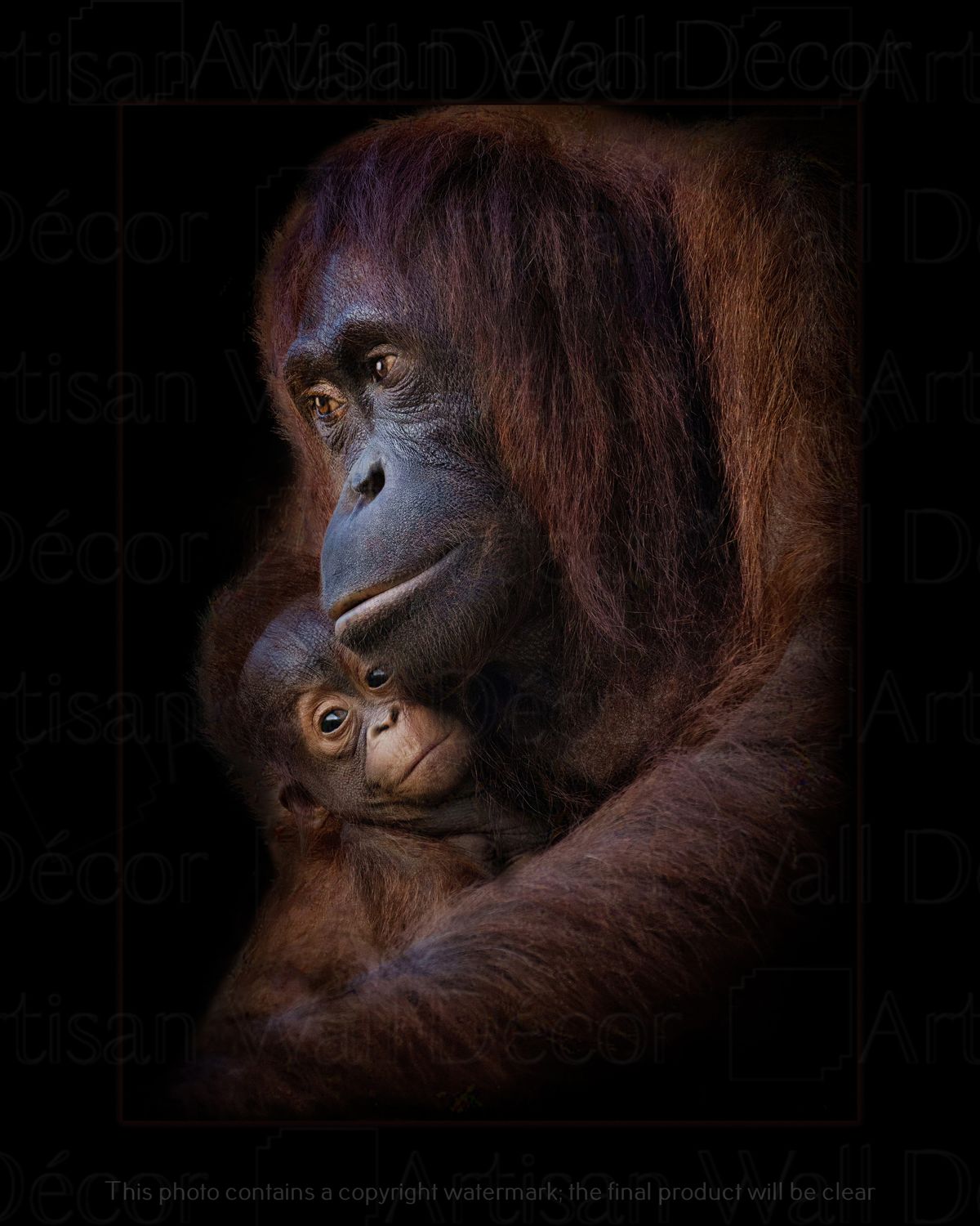 Mommas&#39; Little Miracle™-Wildlife Collection