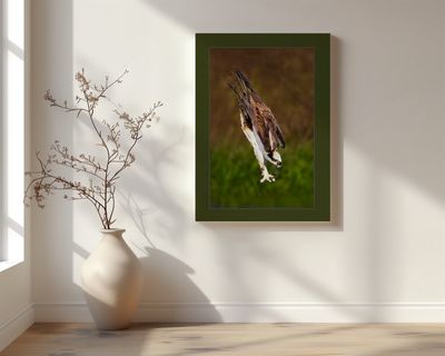 Attack Formation ™-Wildlife Collection