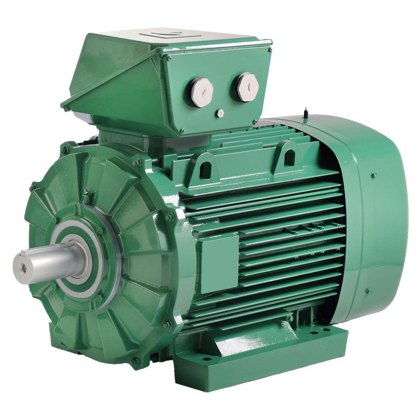 Asinhronie elektromotori PLSES