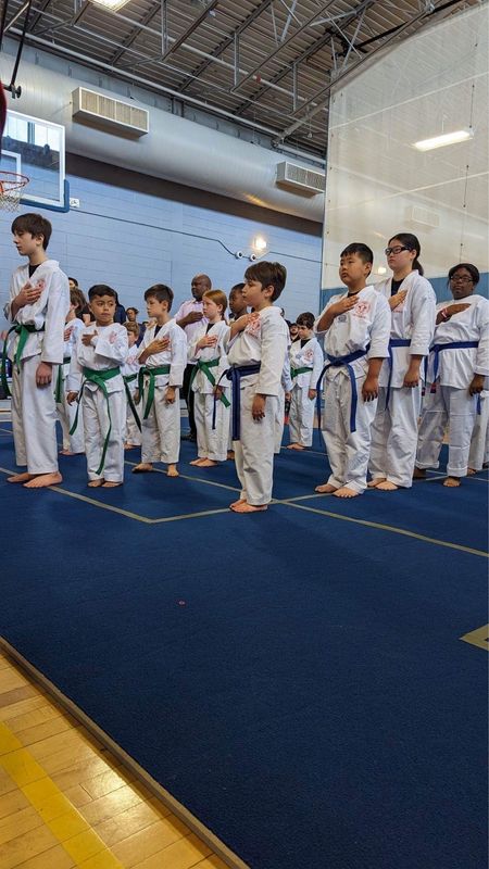 White Belt through Blue Belt
