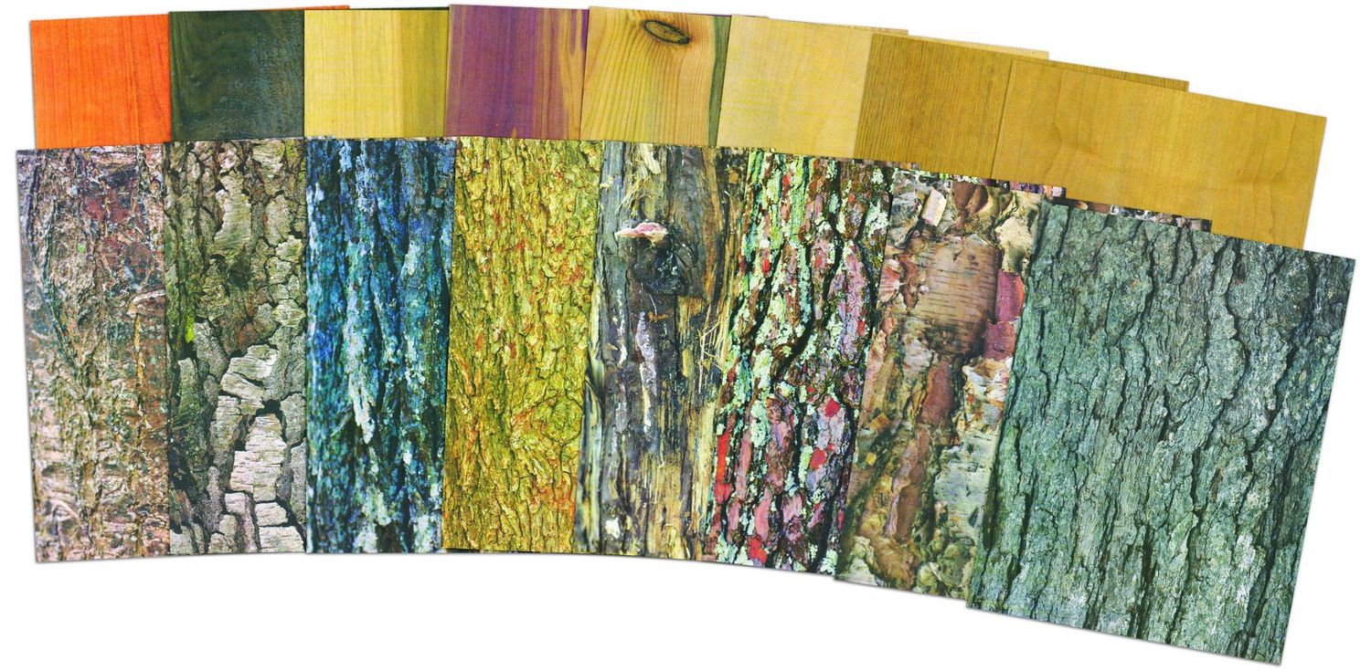 TERRIFIC TREE CRAFT PAPER