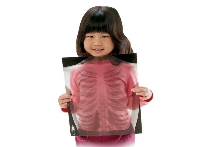 TRUE TO LIFE HUMAN X-RAYS