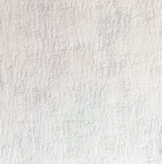 BLOTS OF PAPER