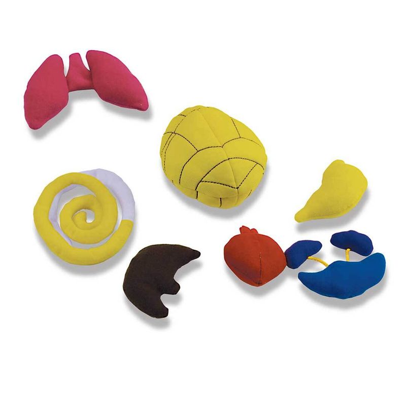 WHAT’S INSIDE ME DOLL – REPLACEMENT PACK