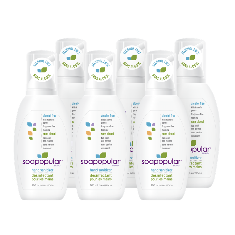SOAPOPULAR ALCOHOL-FREE HAND SANITIZER FOAM-100ML (6/CS)