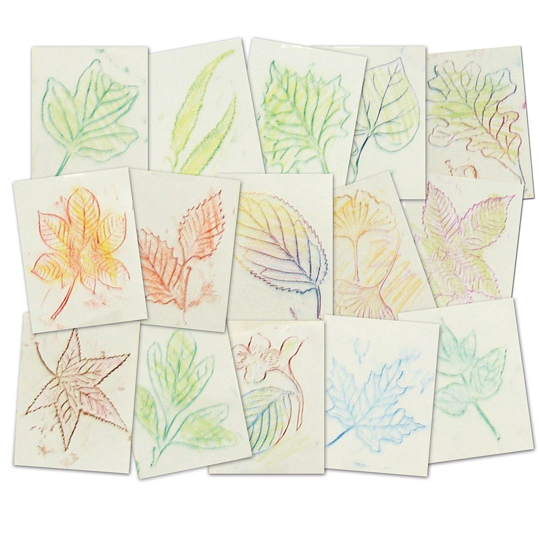 LEAF RUBBING PLATES