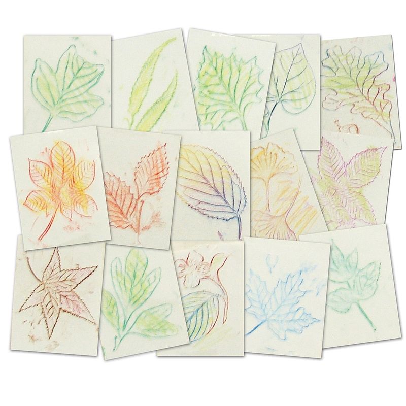 LEAF RUBBING PLATES
