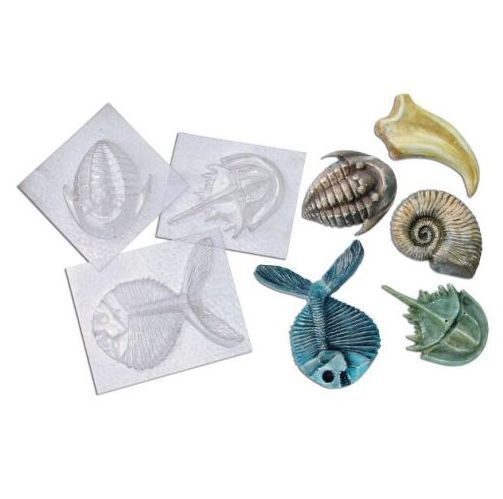 FOSSIL MOLDS