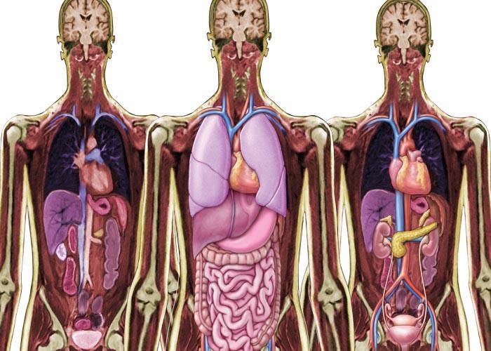 MRI SCAN