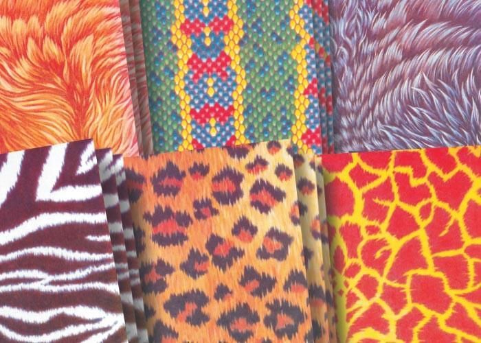 AMAZING ANIMAL PAPER