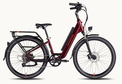 RadCity™ 5 Plus Electric Commuter Bike